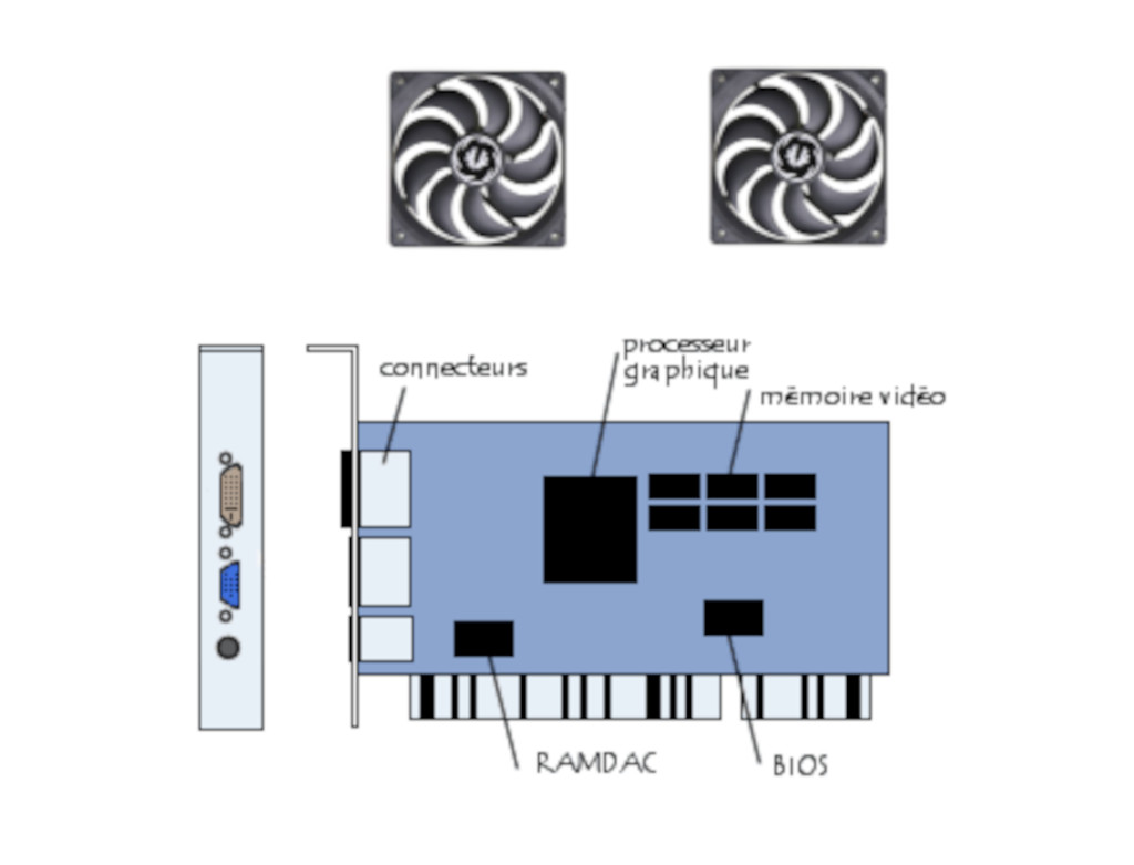 The graphics card processes and displays images and videos on a computer screen
